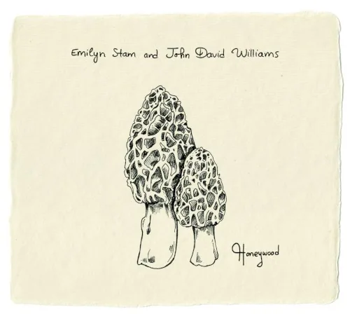 Pochette de l’album Honeywood