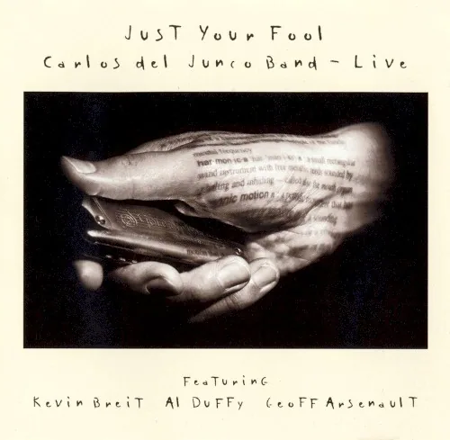 Pochette de l’album Just Your Fool