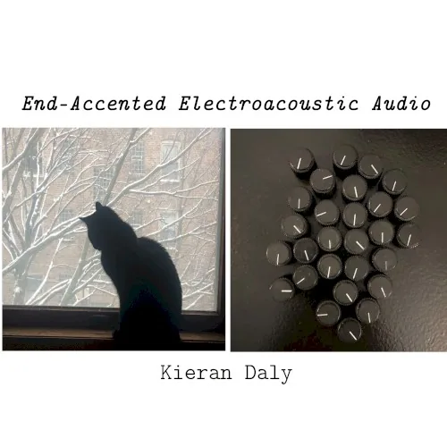 Pochette de l’album End-Accented Electroacoustic Audio