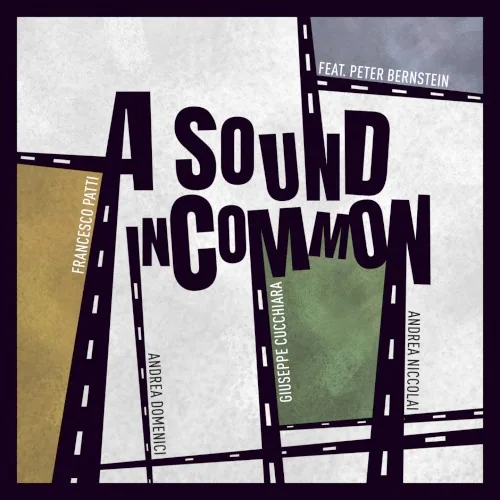 A Sound in Common album cover