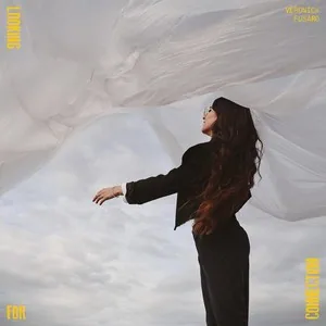 Portada de Looking for a Connection
