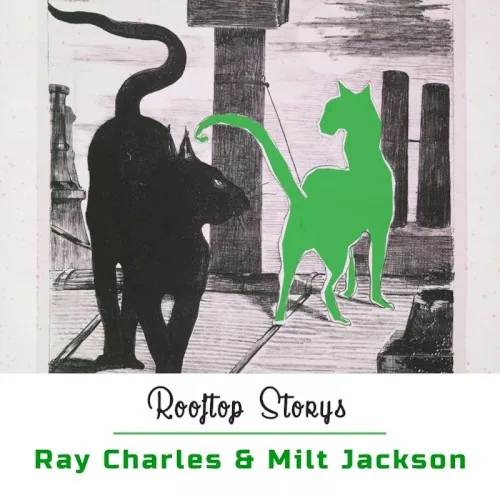 Pochette de l’album Rooftop Storys