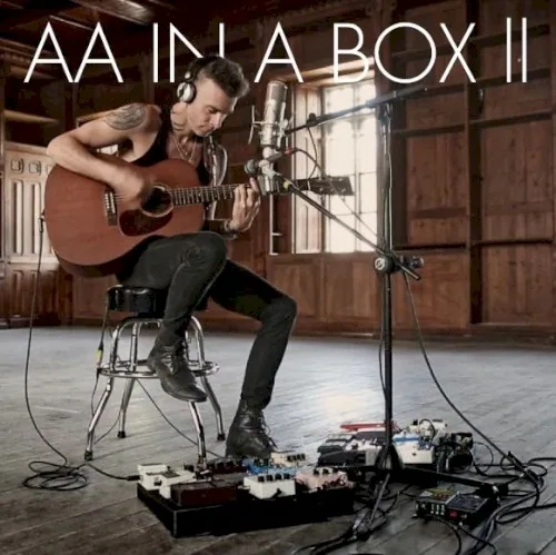 Pochette de l’album Avidan in a Box II