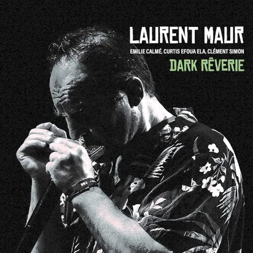 Pochette de l’album Dark Reverie