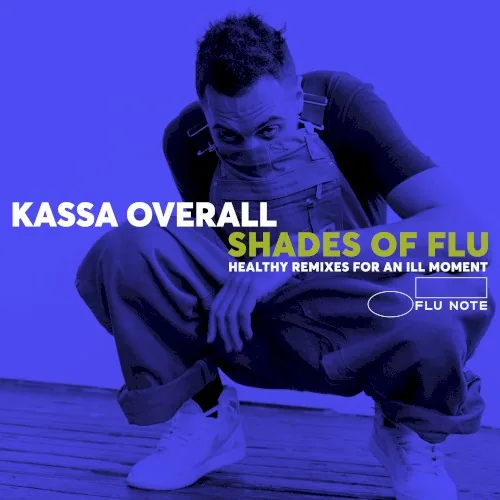 Pochette de l’album Shades of Flu