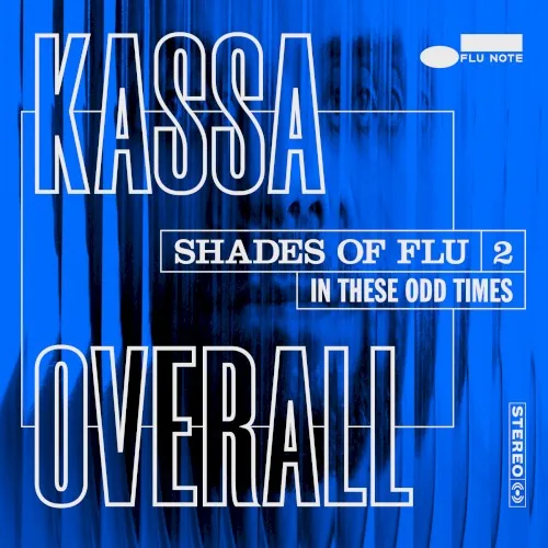 Pochette de l’album Shades of Flu 2