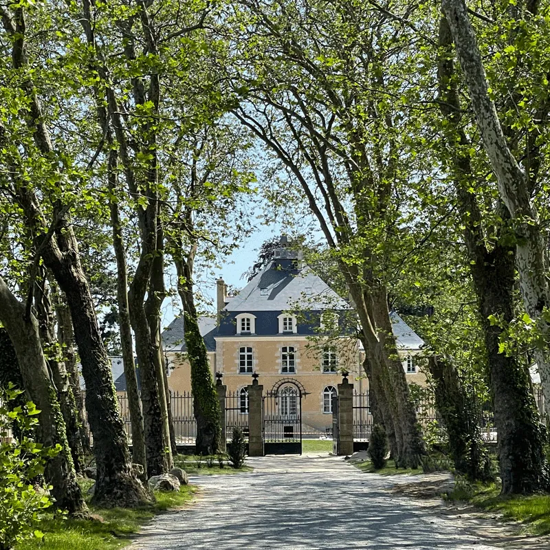 Dîner Jazz avec Green Dolphin au Domaine le Mezo