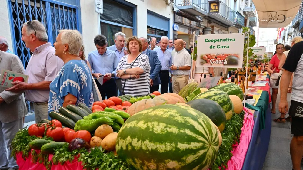 Diferents espais de la fira