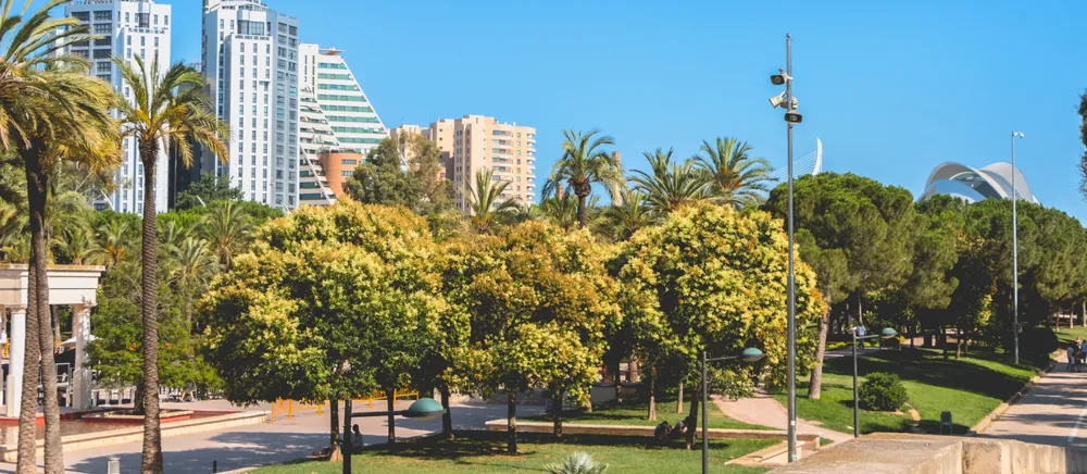 Jardí del Palau de la Música