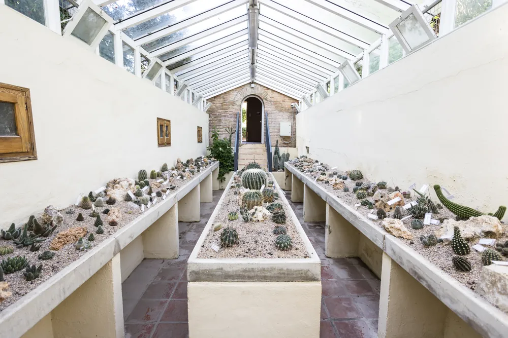 Jardín Botánico