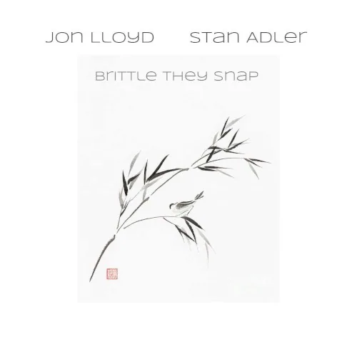 Brittle They Snap album cover