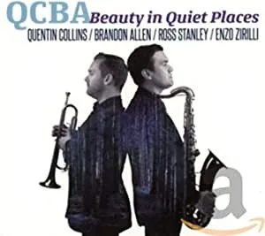 Beauty in Quiet Places album cover