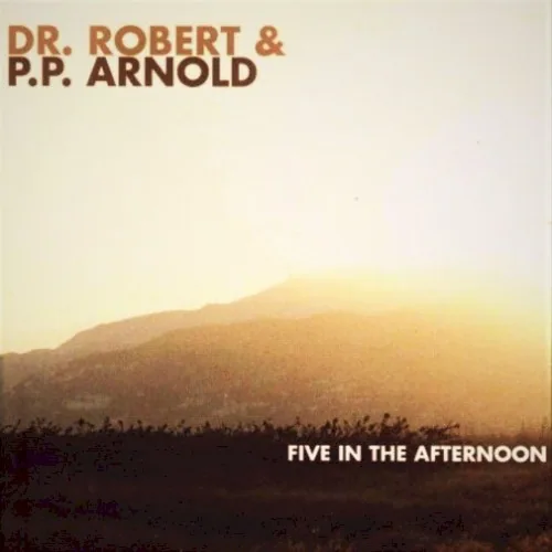 Five In The Afternoon album cover