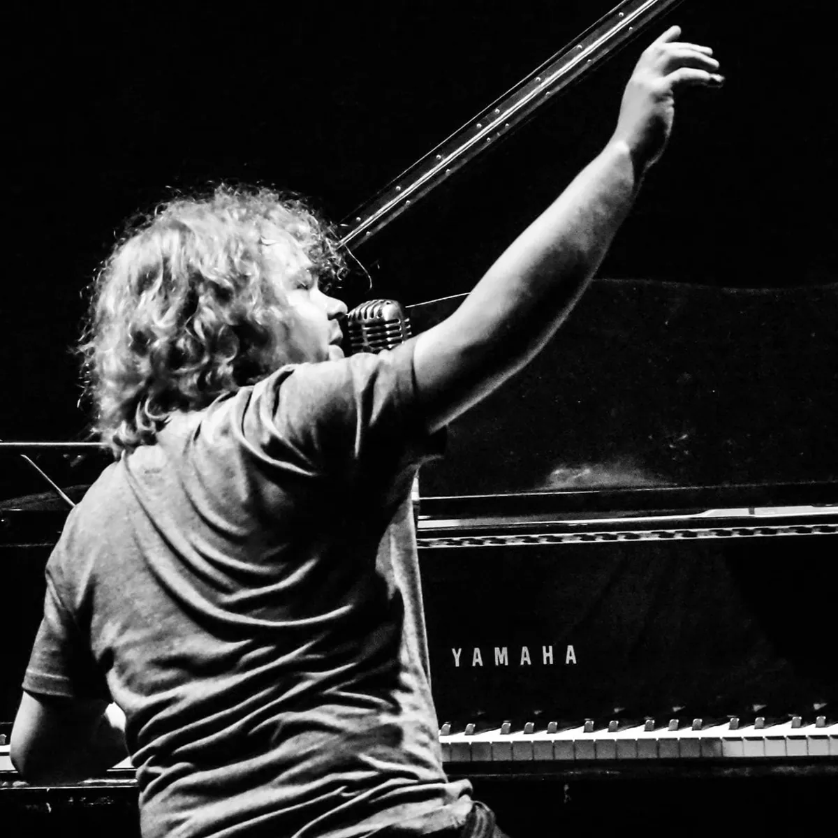 Marky Dawson Trio — Matt & Phred's at Matt and Phred's