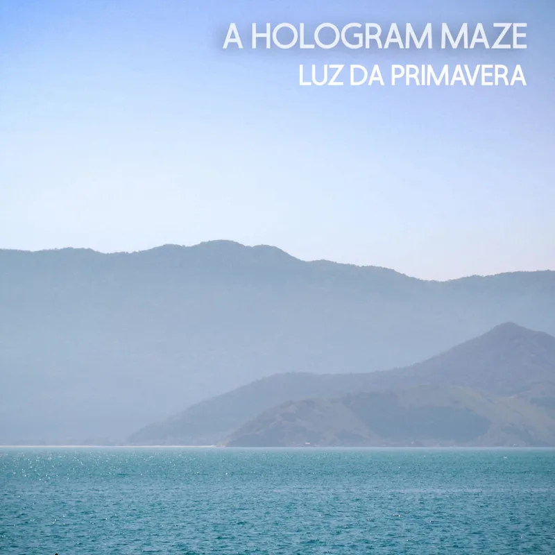 A Hologram Maze