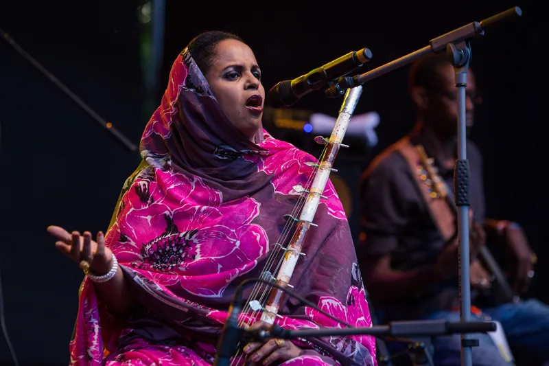 Noura Mint Seymali