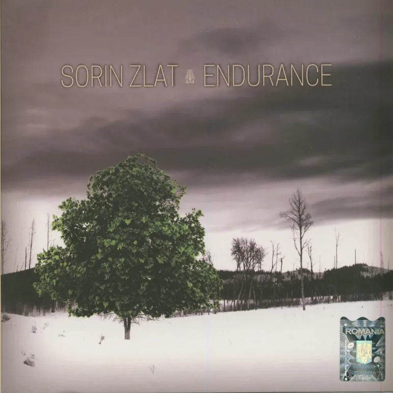 Sorin Zlat
