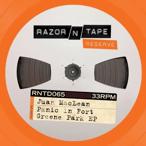 Panic in Fort Greene Park EP album cover