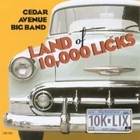 Land of 10,000 Licks album cover