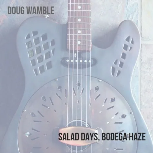 Salad Days, Bodega Haze album cover