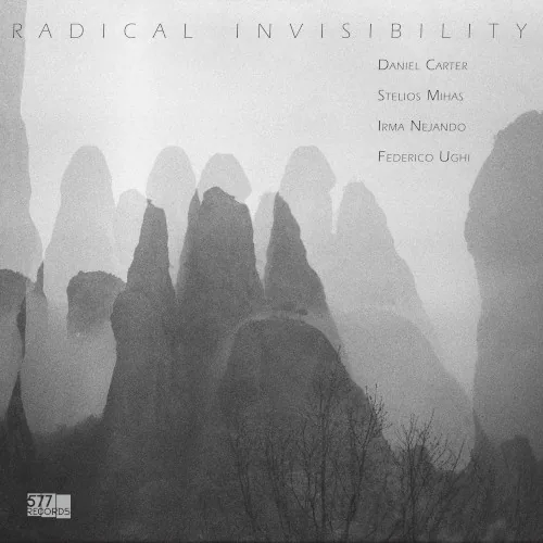 Radical Invisibility album cover