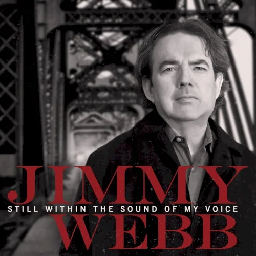 Still Within the Sound of My Voice album cover