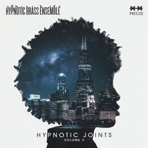 Hypnotic Joints: Volume II album cover