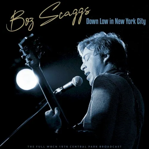 Down Low In New York City (Live 1976) album cover