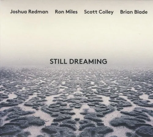 Still Dreaming album cover