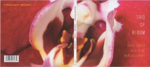 Trio of Bloom album cover