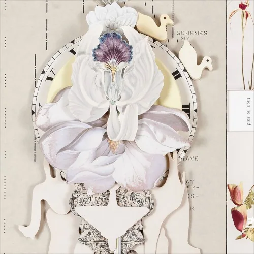 Wildflowers Vol. 1 album cover