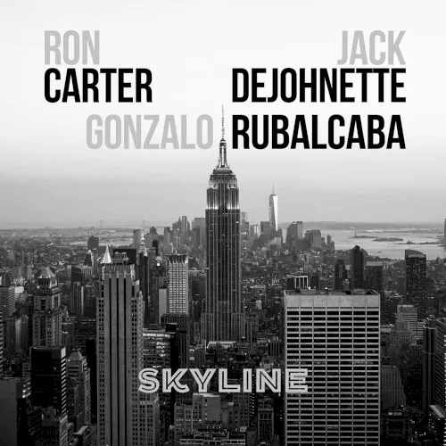 Skyline album cover